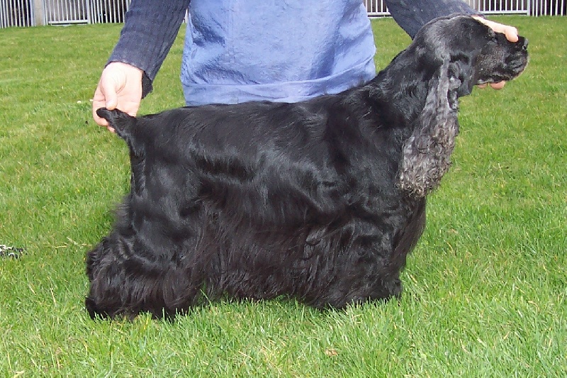 Orlane du fort st jean