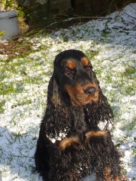 Eden de la terre d'Opale