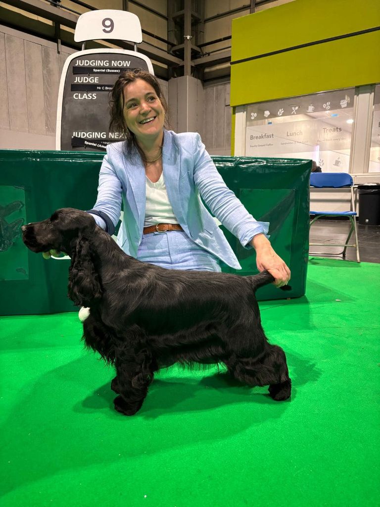 Umi queen de la terre d'Opale